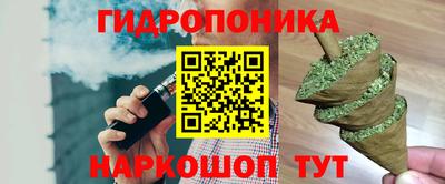 сатива Аргун