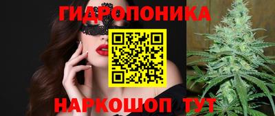 сатива Аргун