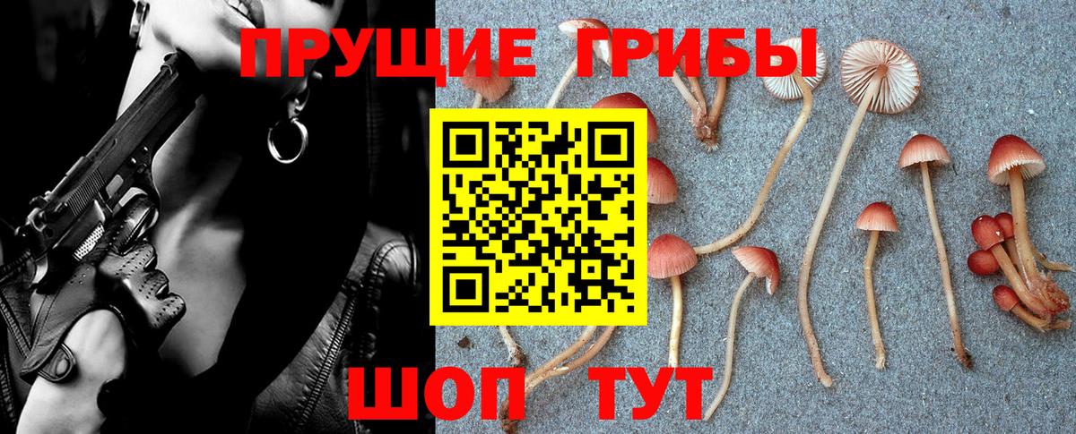Псилоцибиновые грибы Magic Shrooms  Вход с VPN  Воткинск 