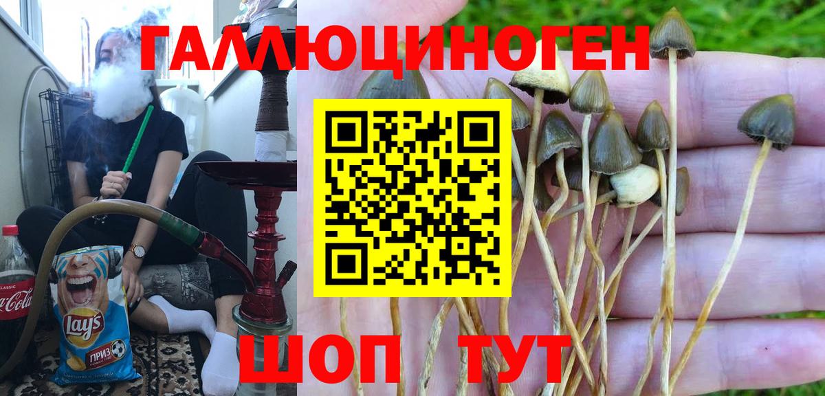Воткинск  Канабис  Меф МЯУ МЯУ кристаллы  Cocaine  Вход с VPN  ГАШ 