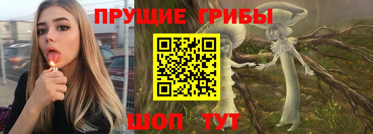 Галлюциногенные грибы Psilocybine cubensis Воткинск